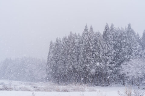 令和4年12月22日からの大雪により被災された被保険者等の皆様へ